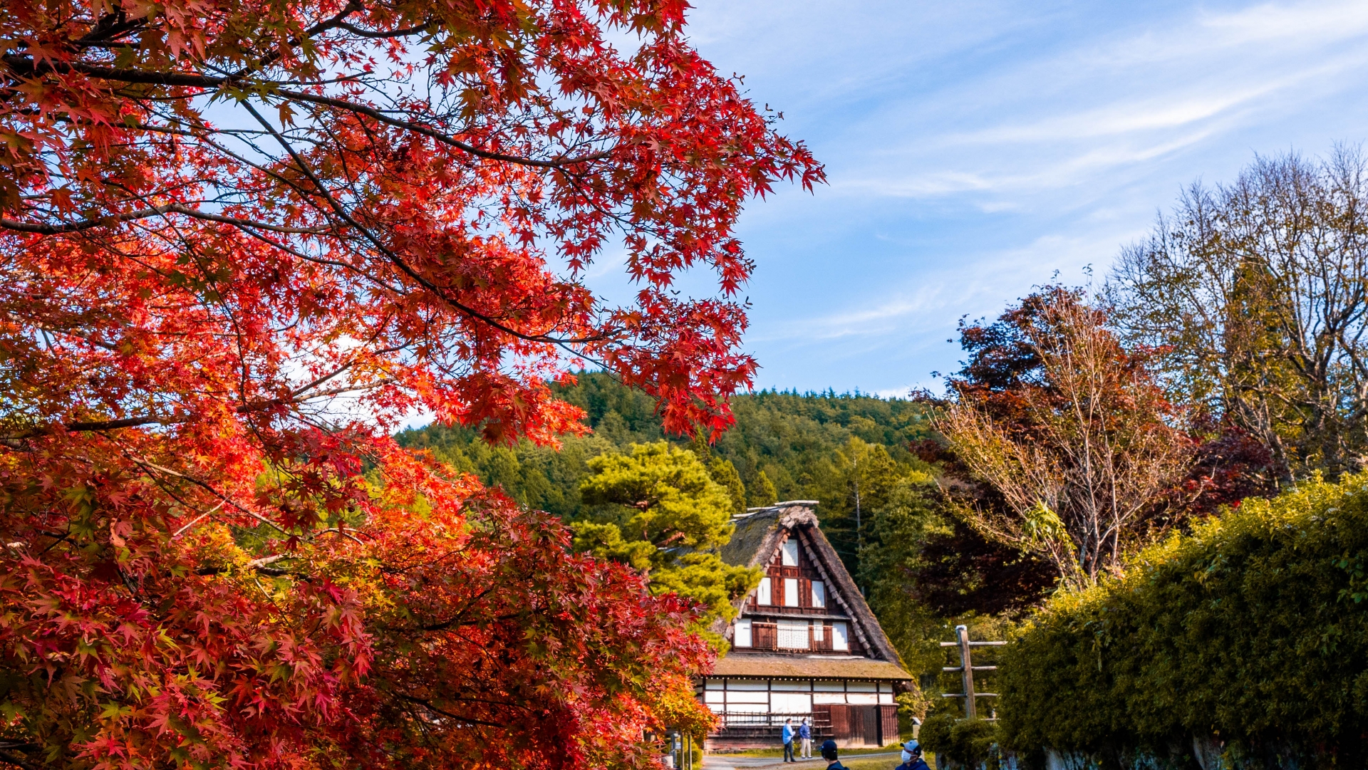 観光旅行